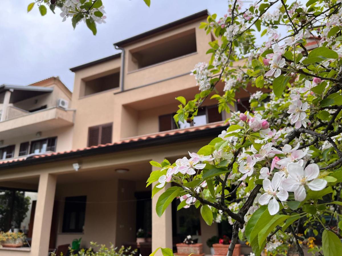 Apartmán Quiet Apartment-free Parking *