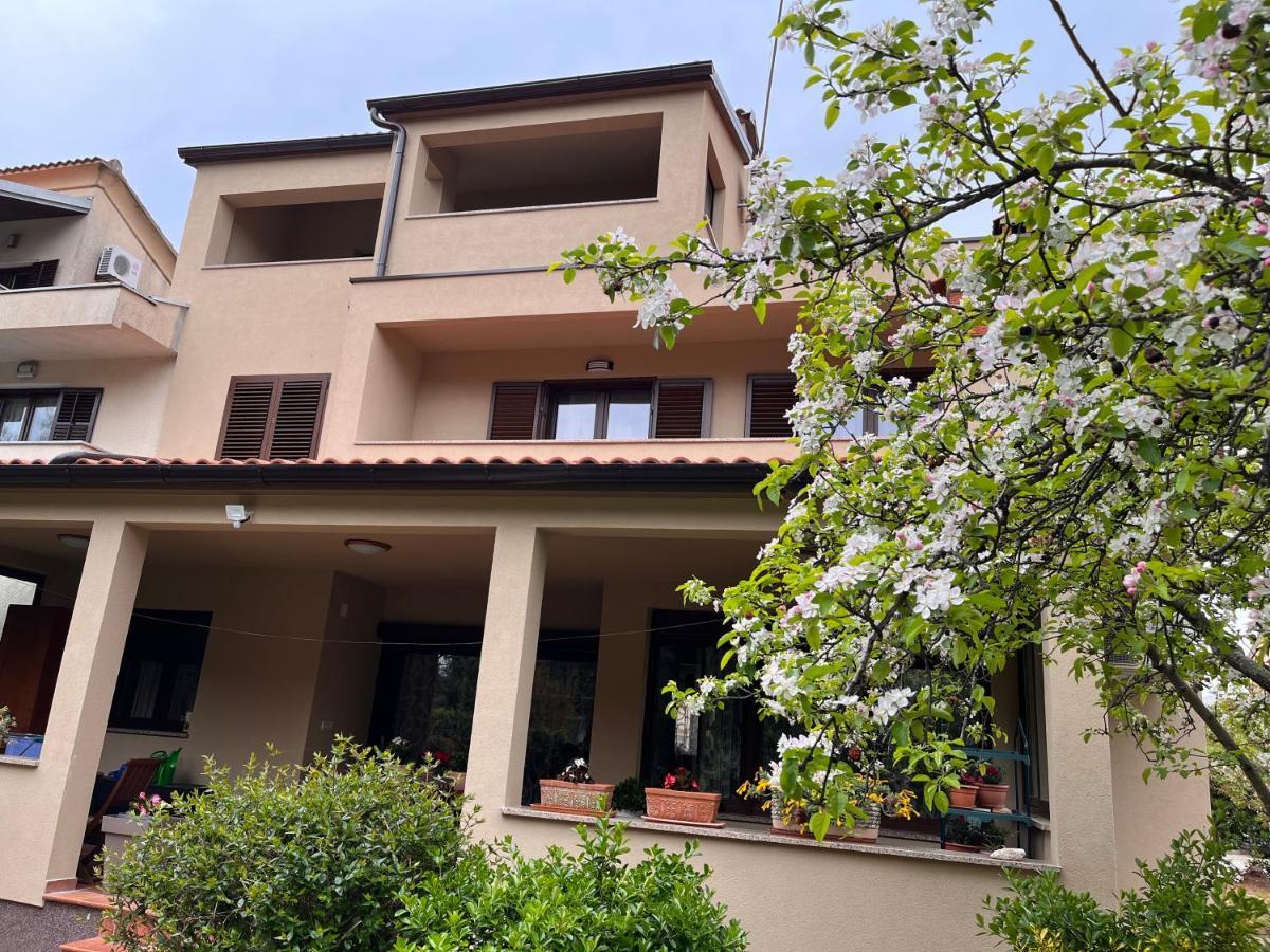 Quiet Apartment-Free Parking Apartment Rovinj