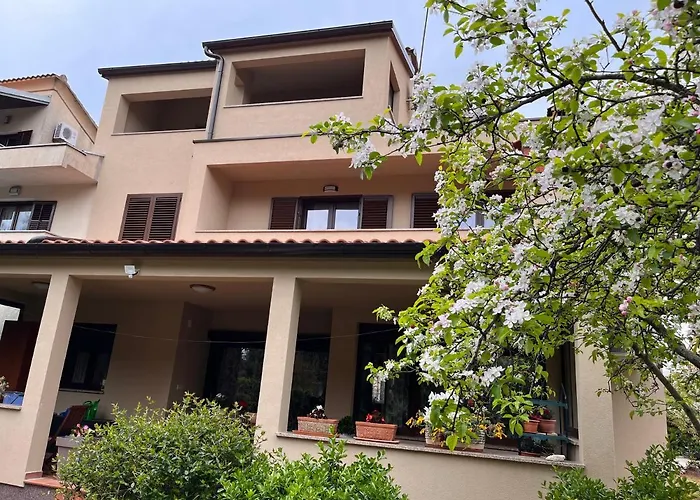 Quiet Apartment-Free Parking